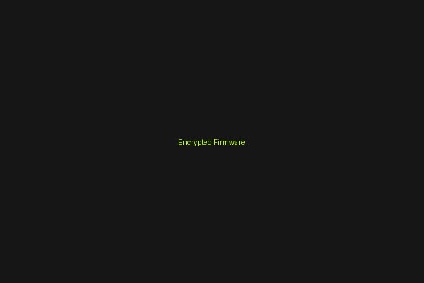 Encrypted Firmware